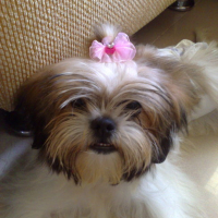 Photo #120175 de Precious