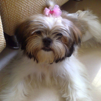Photo #120187 de Precious