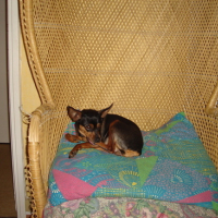 DSC00436