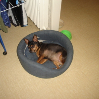 Photo #120547 de Praline