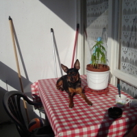 Photo #120559 de Praline