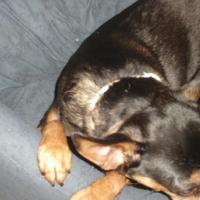 Photo #120565 de Praline