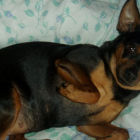 Photo #120577 de Praline