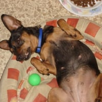 Photo #120583 de Praline