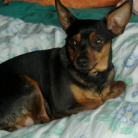 Photo #120595 de Praline