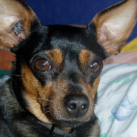 Photo #120601 de Praline