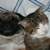 test_046