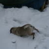 test_123