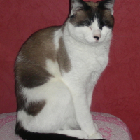 DSCN0542