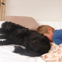 Photo #121105 de Snoopy