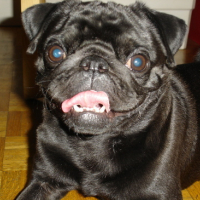 Photo #121153 de Lucien