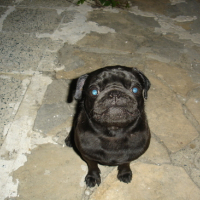 Photo #121171 de Lucien