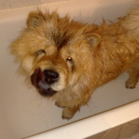 Photo #121219 de Casumi