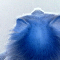 Photo #121225 de Casumi