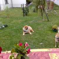 Photo #121231 de Casumi