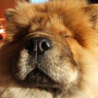 Photo #121237 de Casumi
