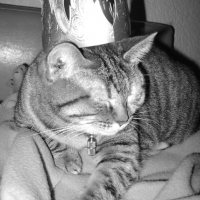 Photo #121645 de Poupousse