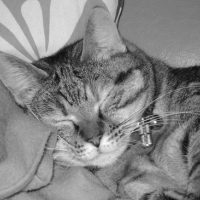 Photo #121651 de Poupousse
