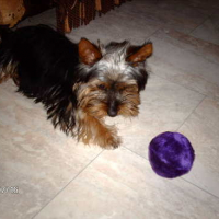 Photo #121789 de Maya