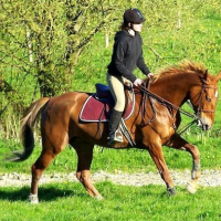 Photo #121825 de Minate