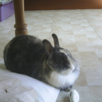 Photo #121999 de Tina