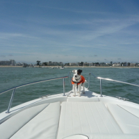 Photo #122287 de Bosco