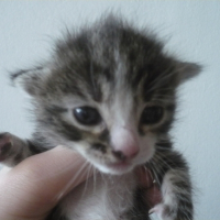 Easy et sa petite gouffa =)