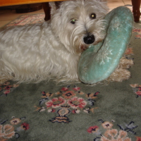 Photo #122749 de Abby