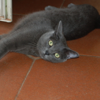 Photo #122953 de Tytom