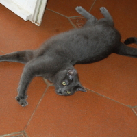 Photo #122959 de Tytom