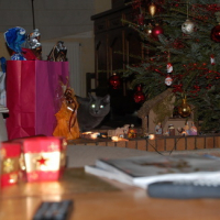 Photo #122971 de Tytom