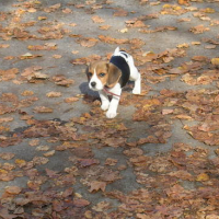 Photo #123115 de Youki