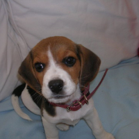Photo #123121 de Youki