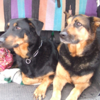 Photo #123397 de Indy