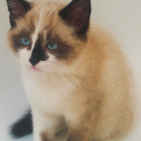 Photo #123481 de Easy