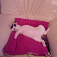 Photo #123649 de Loulou