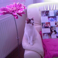 Photo #123655 de Loulou