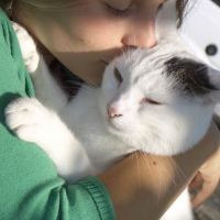 Photo #123661 de Flocon