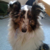 Photo0007