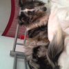 Photo0014