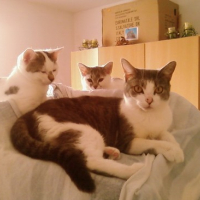 Photo #123793 de Loulou
