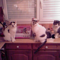 Photo #123799 de Loulou