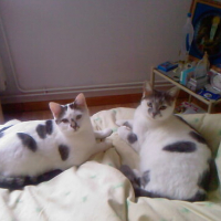 Photo #123805 de Loulou