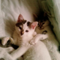 Photo #123811 de Loulou