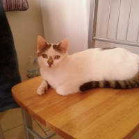 Photo #123823 de Loulou