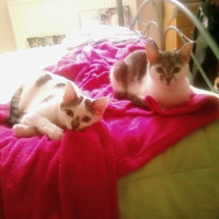 Photo #123877 de Gueulou
