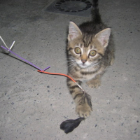 Photo #123913 de Mistie