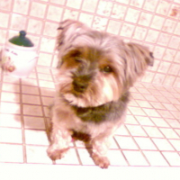 Photo #124237 de Oliver