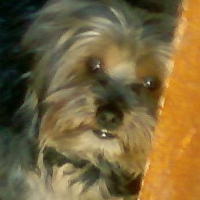 Photo #124243 de Oliver