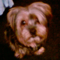 Photo #124261 de Oliver